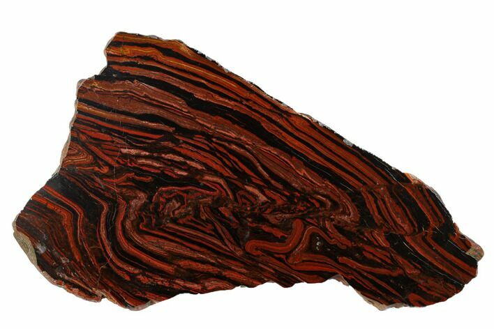 Polished Tiger Iron Stromatolite Slab - Billion Years #178776